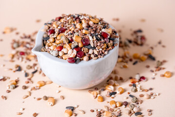 Assorted bird seed, feed for racing pigeons