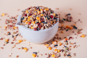 Assorted bird seed, feed for racing pigeons