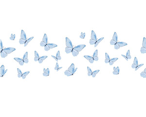 blue butterflies