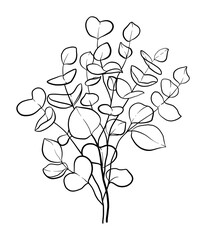 Herbal eucalyptus leaves or branches line art element for a wedding simple minimalist invitation. 