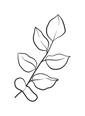 Herbal eucalyptus leaves or branches line art element for a wedding simple minimalist invitation. 