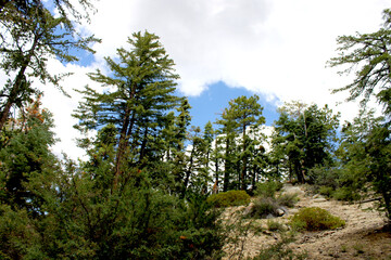 Rodeado de naturaleza