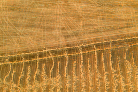 From above aerial view of farmland with crisscrossing tractor marks creating a rich tapestry of lines and textures in a warm palette