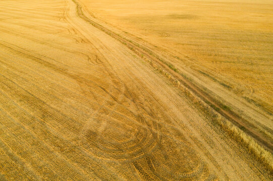 From above aerial view of farmland with crisscrossing tractor marks creating a rich tapestry of lines and textures in a warm palette
