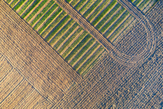 Top view of agricultural fields showing the intersection of different planting techniques, creating a mosaic of green and brown stripes