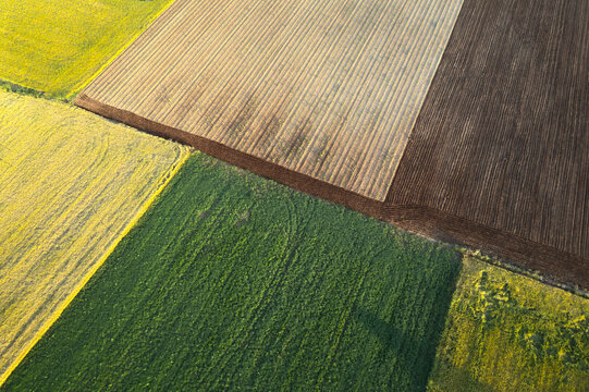 Top view of a colorful patchwork of blooming and ploughed fields creating a vibrant and diverse agricultural landscape