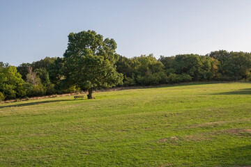 Fototapeta premium Ancient Sanctuary Begliktash near town of Primorsko, Bulgaria