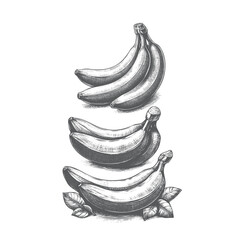 Set of Hand Drawn Black & White Bananas