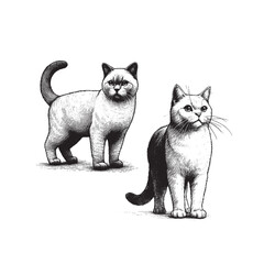 Hand Drawn Illustration of two House Cats