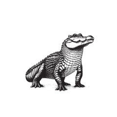 Hand Drawn Black & White Illustration of a Crocodile