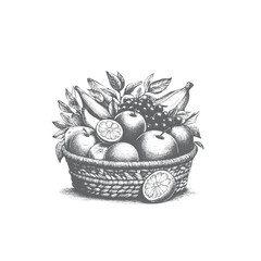 Hand Drawn Black & White Fruit Basket Illustration