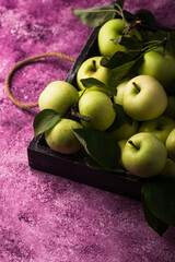 Fresh ripe green apple in purple background.