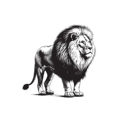 Hand Drawn Lion Black & White Illustration
