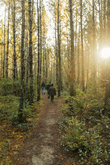 people hiking through woods during sunset, thin trees 