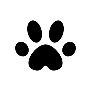paw print icon symbol vector template