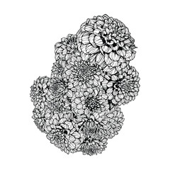 Hand drawn dahlia tangerine dream flowers. Vector floral illustration - obrazy, fototapety, plakaty