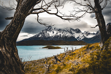 Cuernos del Paine and Lago Pehoé under cloudy sky and  bare trees at the front