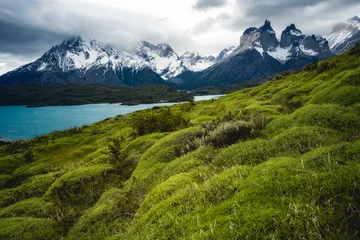 Photo sur Plexiglas Cuernos del Paine Cuernos del Paine and Lago Pehoé under cloudy sky and  green hill