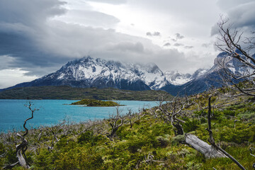 Cuernos del Paine and Lago Pehoé under cloudy sky and  green hill with bare trees