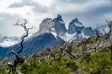 Papier Peint photo autocollant Cuernos del Paine mountain landscape under clouds with trees with bare branches