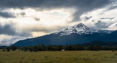a white horse  in front of a mountain landscape under sunset clouds