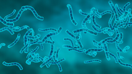 Streptomyces are a group of filamentous bacteria important in the decomposition of organic matter