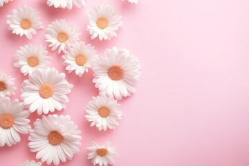 Fototapeta na wymiar Minimal styled concept. White daisy chamomile flowers on pale pink background. Creative lifestyle, summer, spring concept