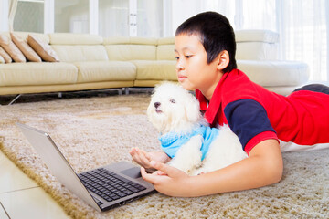 Asian boy feeding her cute white Bolognese dog while using his laptop on carpet at home
