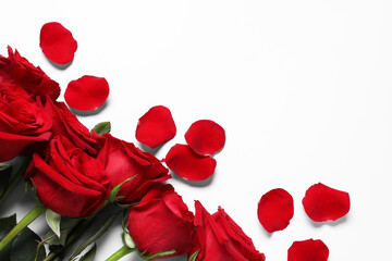 Beautiful red roses and petals on white background, top view. Space for text