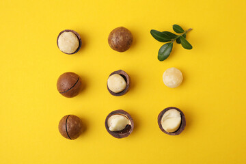 Tasty Macadamia nuts and green twig on yellow background, flat lay