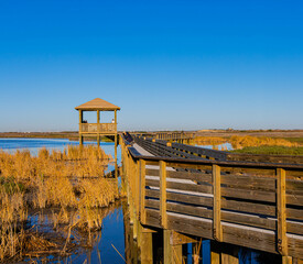 Observation Tower and Boardwalk at Leonabelle Turnbull Birding Center, Port Aransas, Texas, USA