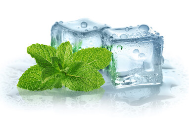 Green mint and ice cubes isolated on white