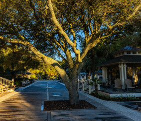 Coligny Beach Park, Hilton Head Island, South Carolina, USA