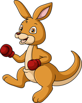 Cute kangaroo boxing cartoon on white background