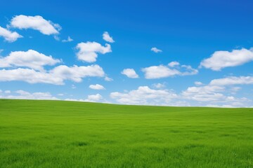 A serene and picturesque scene featuring lush green grass against a backdrop of a clear blue sky adorned with fluffy white clouds