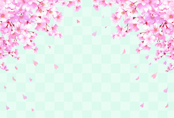 桜の和風フレーム背景　和柄　市松模様　桜吹雪　飾り枠　素材　お花見　入学　卒業　入園　卒園　入社　ひなまつり　ひな祭り