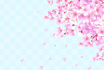 桜の和風フレーム背景　和柄　市松模様　桜吹雪　飾り枠　素材　お花見　入学　卒業　入園　卒園　入社　ひなまつり　ひな祭り　イメージ