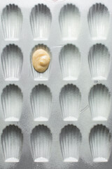 Piping Madeleine batter into a greased Madeleine pan, lemon vanilla cake batter in a baking pan