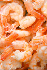 Cocktail shrimp background