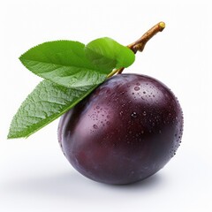 Purple plum with leaf isolated on white background