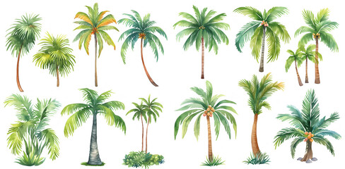 Watercolor palm and coconut tree clipart for graphic resources - obrazy, fototapety, plakaty