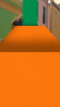 Portrait Vertical 3D Transition with 4 Visual Styles