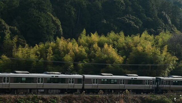 冬の陽を浴びて走る223系新快速列車 （東海道本線 安土 - 能登川, 2023年12月）