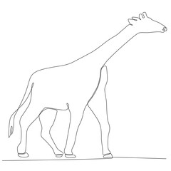 Continuous one-line drawing. Giraffe walking symbol. Logo of the giraffe. Vector illustrations