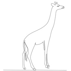 Continuous one-line drawing. Giraffe walking symbol. Logo of the giraffe. Vector illustrations