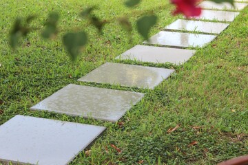 Stone path in the garden during the rain