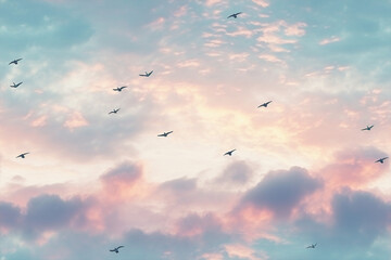 birds in sky background wall texture pattern seamless wallpaper