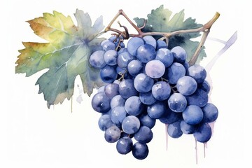 Decorated bunch of blue grapes with leaves in a watercolor painting. Generative AI
