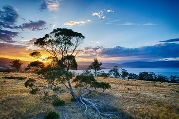 Tasmanian sunset - obrazy, fototapety, plakaty