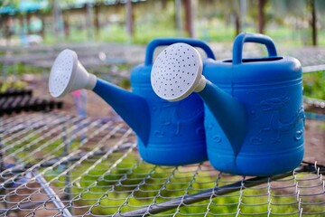 Blue dradon Watering Pot for plant , flower , vetgetable farm garden , water farm equipment.